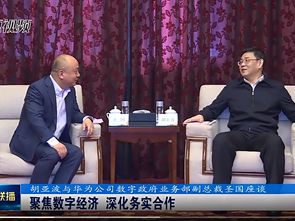 胡亚波与华为公司数字政府业务部副总裁圣国座谈  聚焦数字经济 深化务实合作